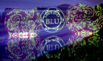 Plant fronds projection of logos and texts