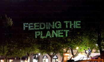Plant fronds projection of logos and texts
