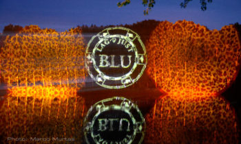 Plant fronds projection of logos and texts
