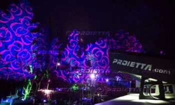 Plant fronds projection