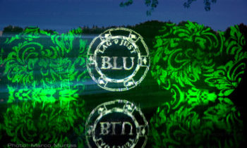 Plant fronds projection of logos and communication