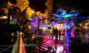 Plant fronds projection
