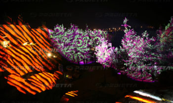 Plant fronds projection