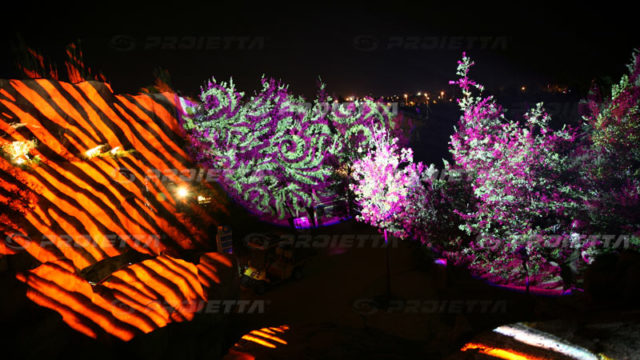 Plant fronds projection